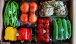 钛9吃瓜爆料最新视频,最新吃瓜视频深度解析